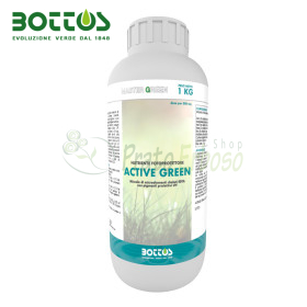 Active Green - Concime liquido per prato da 1 kg