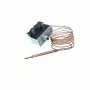 95100000 - TSRM 100° Thermostat