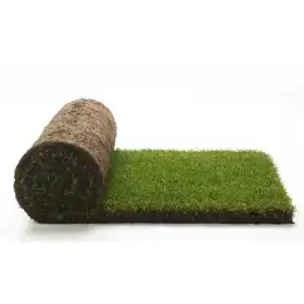 GreenZolla - Abbonamento a lettiera ecologica Prato Erboso - 4