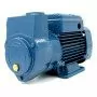 Pompe électrique à anneau liquide monophasée auto-amorçante CKm 50 - 0,50 CV