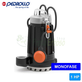 DCm 10 - Single-phase cast iron electric pump for clear water, 1 HP Pedrollo - 1