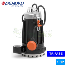 DC 10 - 1 HP three-phase cast iron electric pump for clear water Pedrollo - 1