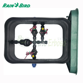 PA-DV-F3-9V - Sumidero ensamblado de 1" y 3 zonas Rain Bird - 1