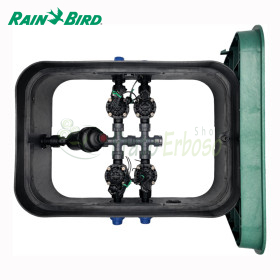 PA-HV-F4 - Pozzetto assemblato da 1" 4 zone Rain Bird - 1