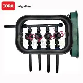 PA-EZP-4 - Pozzetto assemblato da 1" 4 zone TORO Irrigazione - 1