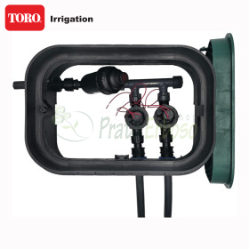 PA-EZP-F2 – 1" montierter Auffangbehälter, 2 Zonen TORO Irrigazione - 1