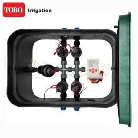 PA-EZP-PF4 - gropë e montuar 1", 4 zona TORO Irrigazione - 1