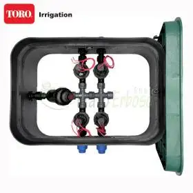 PA-EZP-F4 - Pozzetto assemblato da 1" 4 zone TORO Irrigazione - 1
