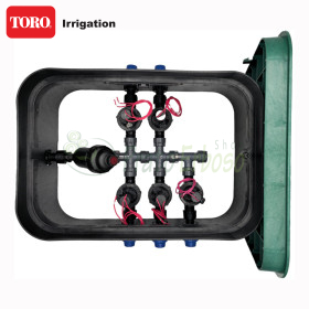 PA-EZP-F5 - gropë e montuar 1", 5 zona TORO Irrigazione - 1