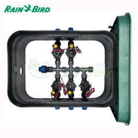 PA-DV-5-9V - Puisard assemblé 1" 5 zones Rain Bird - 1
