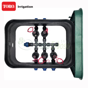 PA-EZP-5 - Puisard assemblé 1" 5 zones TORO Irrigazione - 1