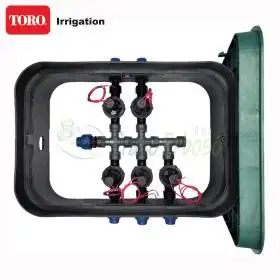 PA-EZP-5 - Pozzetto assemblato da 1" 5 zone TORO Irrigazione - 1