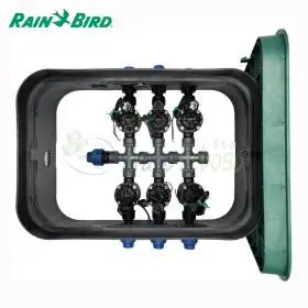 PA-HV-6 - Pozzetto assemblato da 1" 6 zone Rain Bird - 1