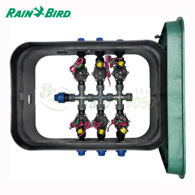 PA-DV-6-9V – Zusammengebauter 1-Zoll-Sumpf mit 6 Zonen Rain Bird - 1