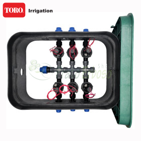 PA-EZP-6 - Sumidero ensamblado de 1", 6 zonas TORO Irrigazione - 1