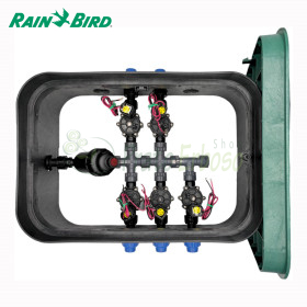PA-DV-F5-9V - Pump asamblat de 1" cu 5 zone Rain Bird - 1