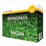 Bahiagrass - 500 g de semillas de césped