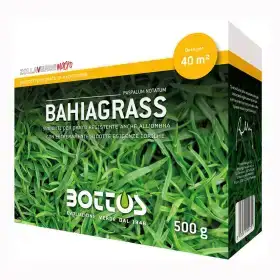 Bahiagrass - 500g Rasensamen