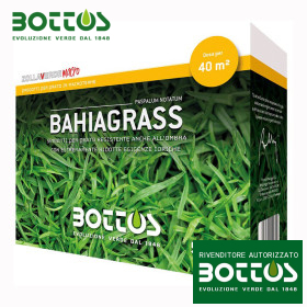 Bahiagrass - 500 g de graines de pelouse