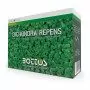 Dicondra Repens - 1 kg de semillas para césped