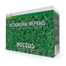Dichondra Repens - 1 kg de semillas de césped