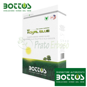 Bleu Royal - 1kg Semences à Gazon