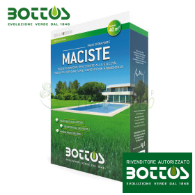 Maciste - 1 kg de graines à gazon