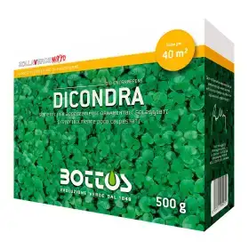 Dicondra Repens - 500 g de semillas para césped