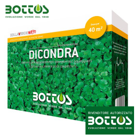 Dicondra - Farë lëndinë 500g