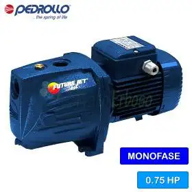 FUTURE JETm 1A - 0.75 HP single-phase self-priming electric pump