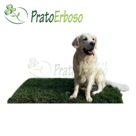 GreenZolla - Lettiera ecologica di prato vero Prato Erboso - 1