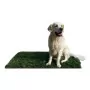 GreenZolla - Ecological litter made from real grass Prato Erboso - 1