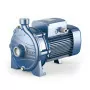 CP 220B - Pompe centrifuge électrique triphasée de 4 CV