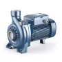 NGAm 1B - 0.75 HP single-phase open impeller centrifugal electric pump