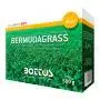 Bermudagras - 500g Rasensamen