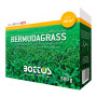 Semences de gazon Bermudagrass - 500 g