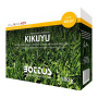 Kikuyu – 500 g Rasensamen