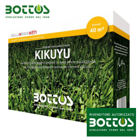 Kikuyu – 500 g Rasensamen