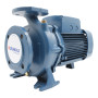 Bomba centrífuga eléctrica estándar trifásica F 40/160A de 5,5 HP