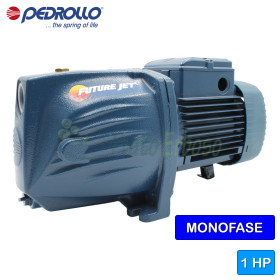 FUTURE JETm 2C - electropompa autoamorsanta monofazata de 1 CP