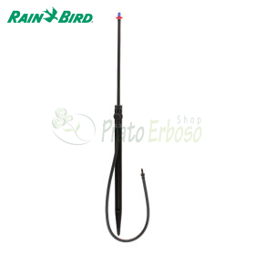 Jet Spike 310-180 - 180 Grad Sprüher auf Spike