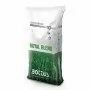 Royal Blend - Sementi per prato da 10 Kg