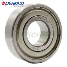 6203 - Roulement à billes 17x40x12 mm Pedrollo - 1