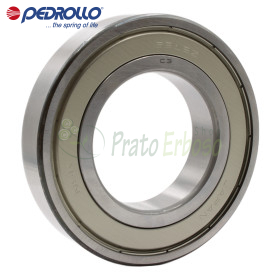 6212 ZZ-C3 - Cojinete de bolas 60x110x22 mm Pedrollo - 1