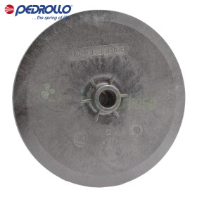 164GRJSP16B - Shtytës centrifugale Pedrollo - 1