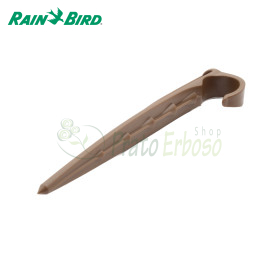 C12 - Astina reggitubo