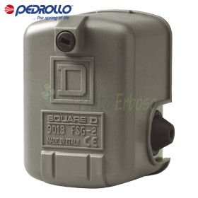 FSG 2 - Pressostat monophasé réglable 4,6 bar Pedrollo - 1