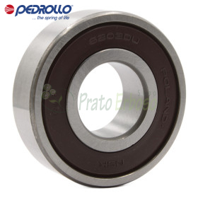 3307 A 2RS - Cuscinetto a sfera 35x80x34.9 mm Pedrollo - 1