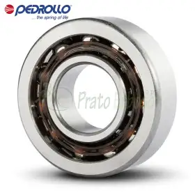 7203 B - Roulement à billes 17x40x12 mm Pedrollo - 1