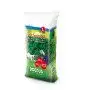 Forteprato - 1 kg of lawn seeds